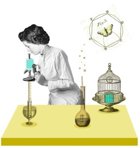 mujer-en-la-ciencia