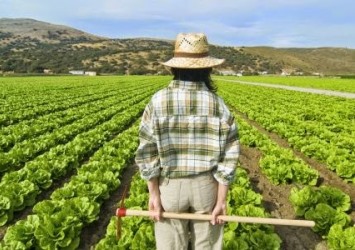 Mujeres Rurales: El empoderamiento digital es más que sólo acceso.