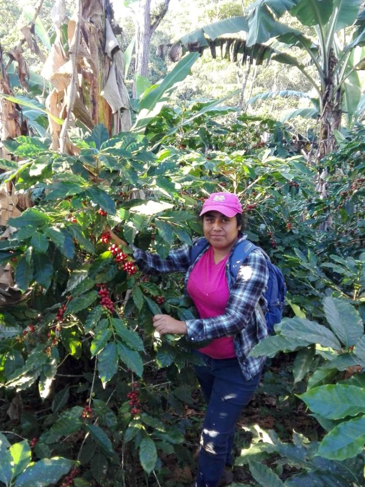 Francis cafe mujeres